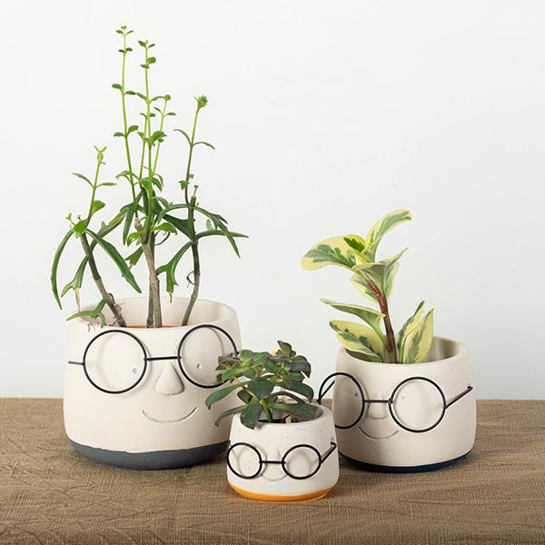 Face with Glasses Flower Pot