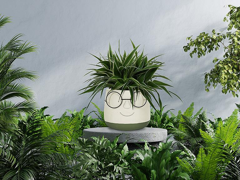 Face Planter w/Glasses