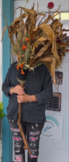 Witches&#39; Broom Class
