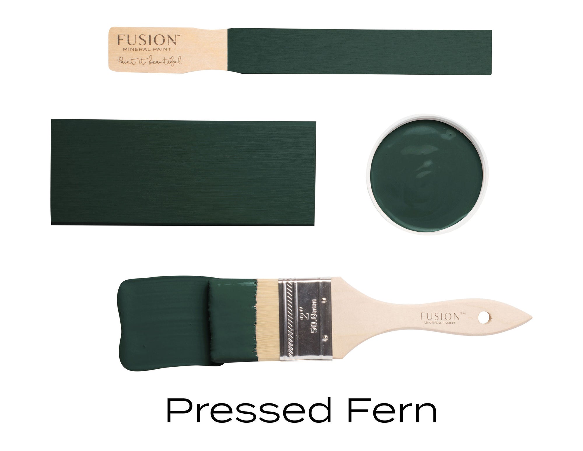 Pressed Fern-Fusion Mineral Paint