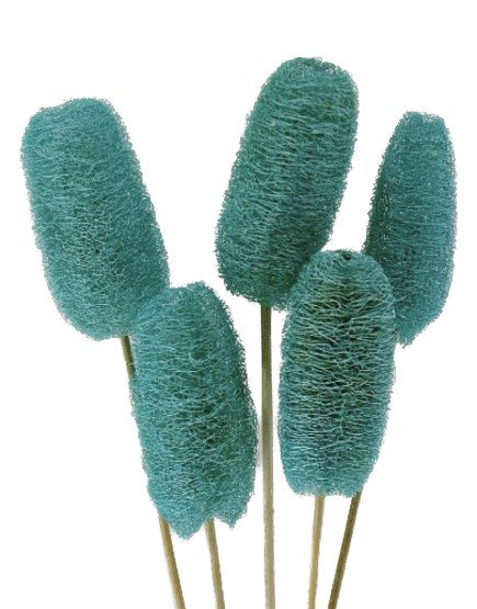 Luffa Stems