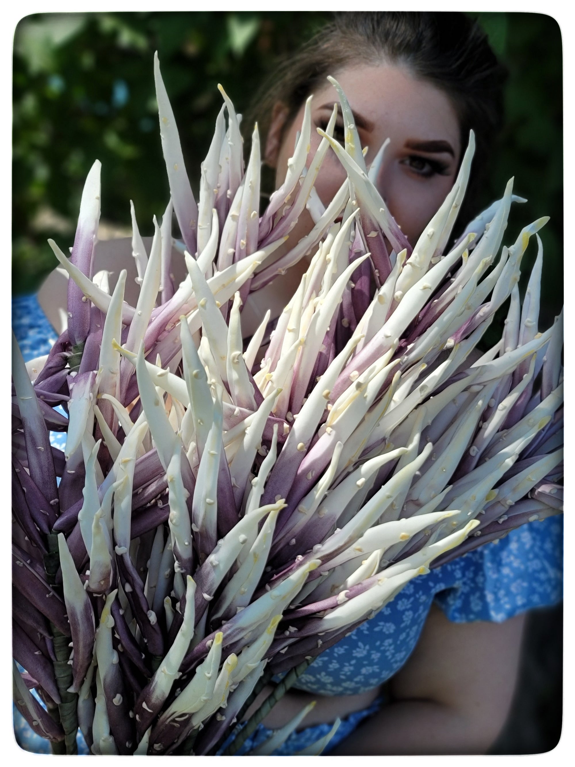 44&quot; Agave Spray