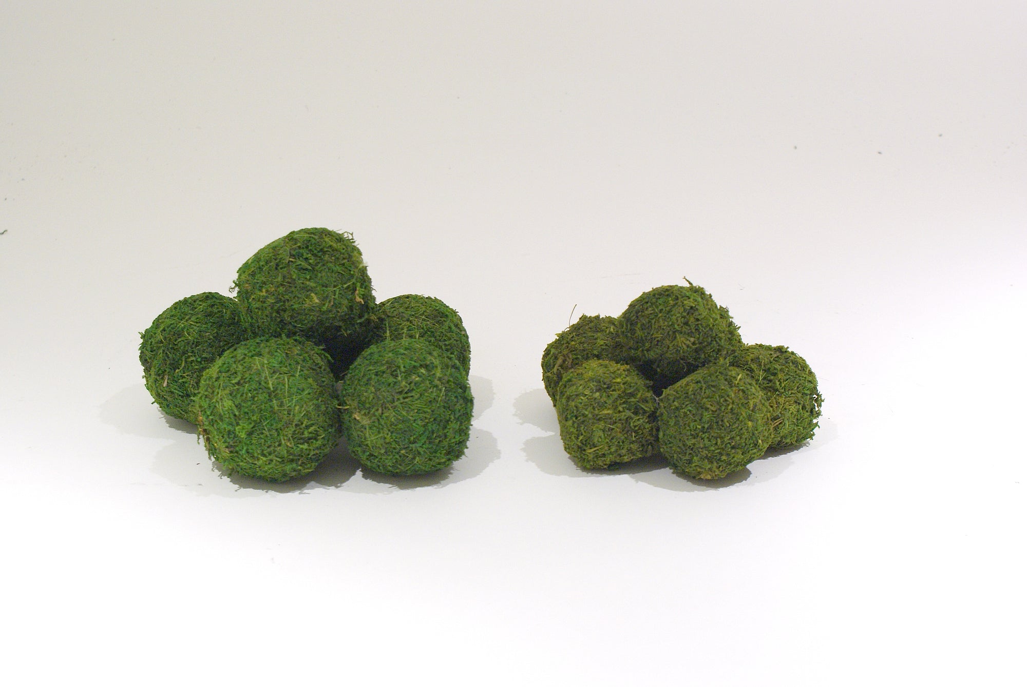 Moss Balls