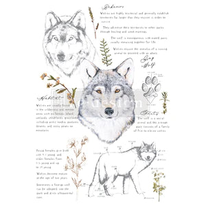 Decor Transfers® –Gray Wolf  – total sheet size 24″x35″, cut into 3 sheets