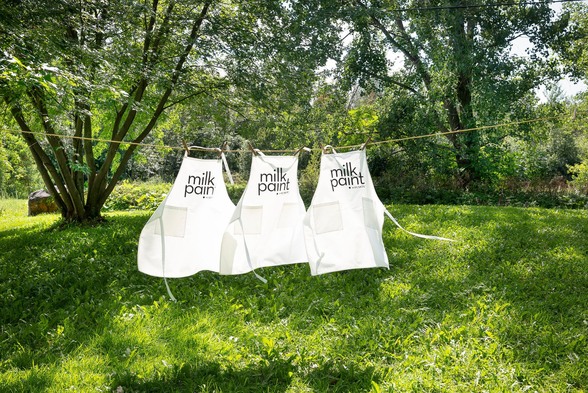 Apron (Fusion and Milk Paint)