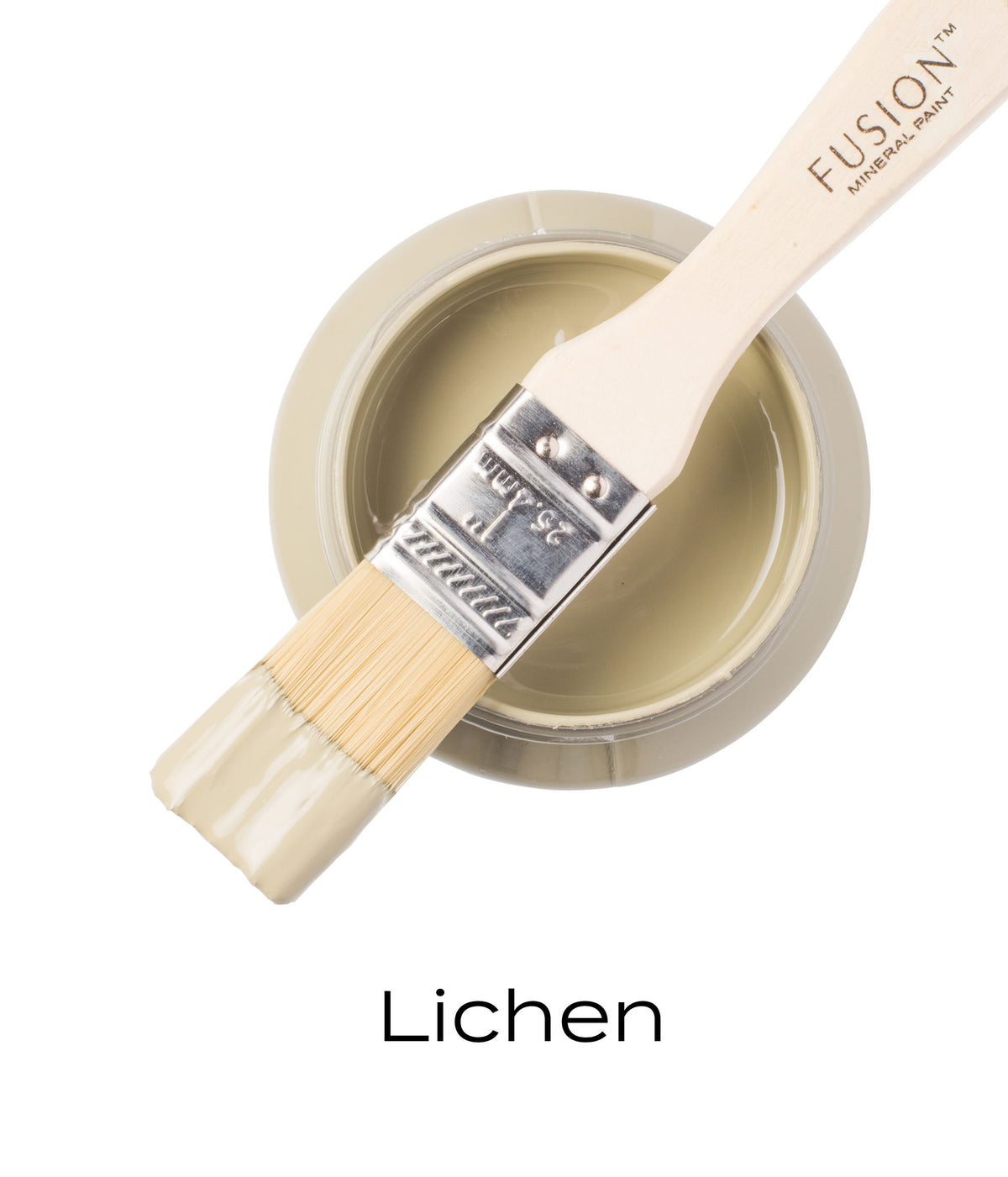 Lichen-Fusion Mineral Paint